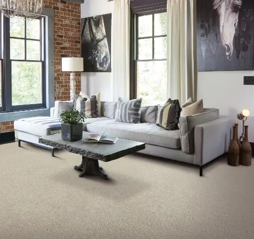 Living room carpet | Howard-Carpenter Floor Covering